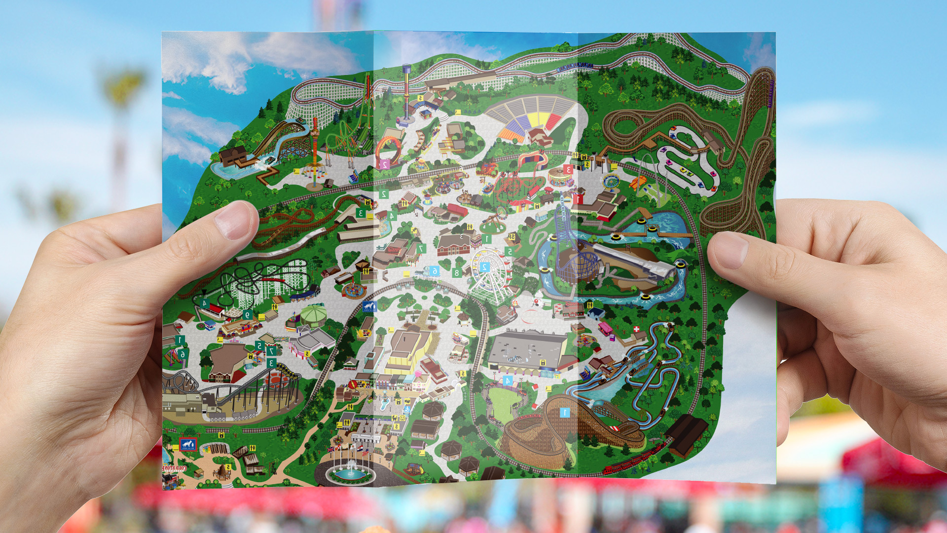A person looking at a map of Six Flags theme park